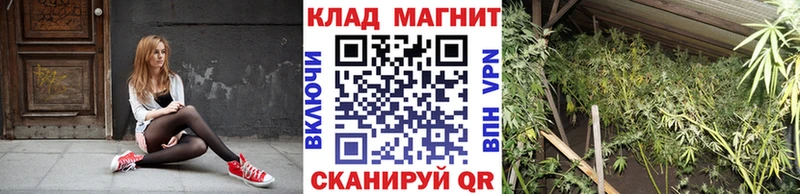 Магазины продажи наркотиков Киселёвск МЕТАМФЕТАМИН  Марихуана  Экстази  ГАШ  КОКАИН  Меф 