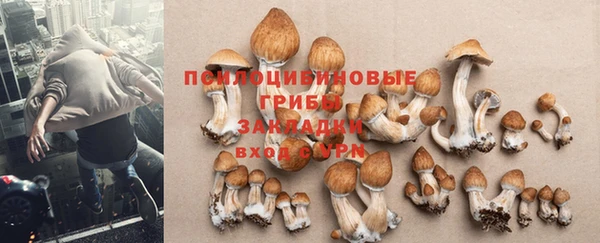 прущая мука Верхний Тагил